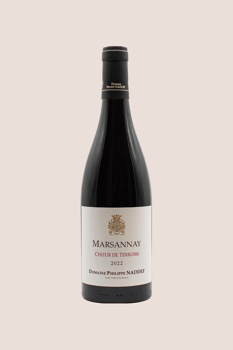ワイン A32 DOMAINE PHILIPPE NADDEF GEVREY CHAMB ワイン A32 DOMAINE PHILIPPE NADDEF GEVREY CHAMB naddef